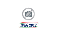 Mozzo Dentato IVG1563-01