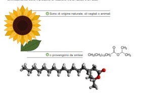 OLIO EMULSIONANTE EVOSOL 9,1
TANICA 25 LT