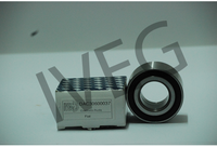 Cuscinetto Ruota a sfera DAC30600037